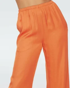 Hot Diane von Furstenberg Gianna Pants