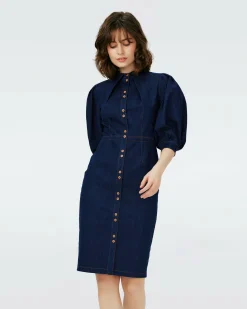 Best Diane von Furstenberg Perla Dress