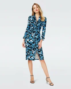 Best Diane von Furstenberg Sheska Dress